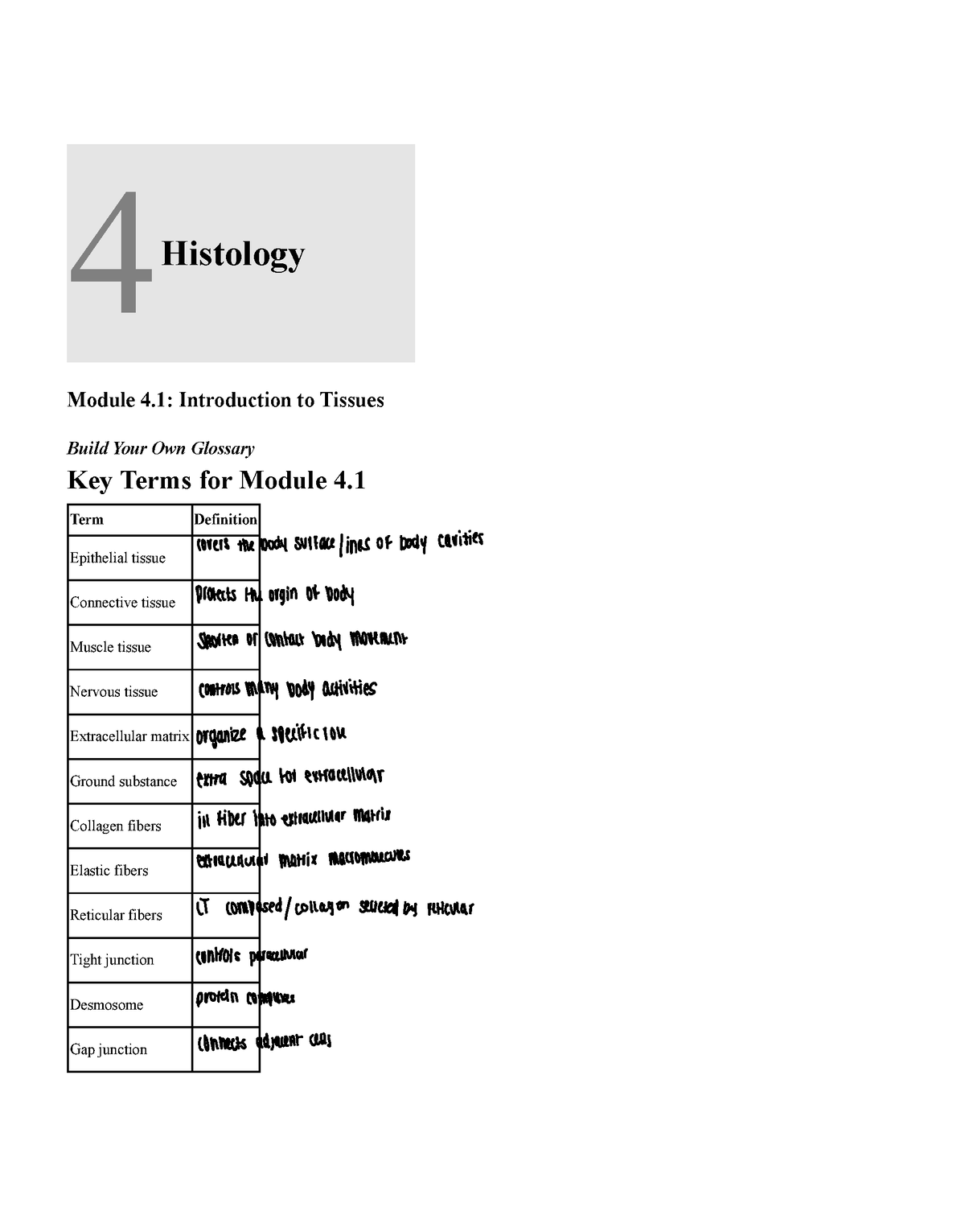 Chapter+4+-+Histology - 4 Histology Module 4: Introduction To Tissues ...