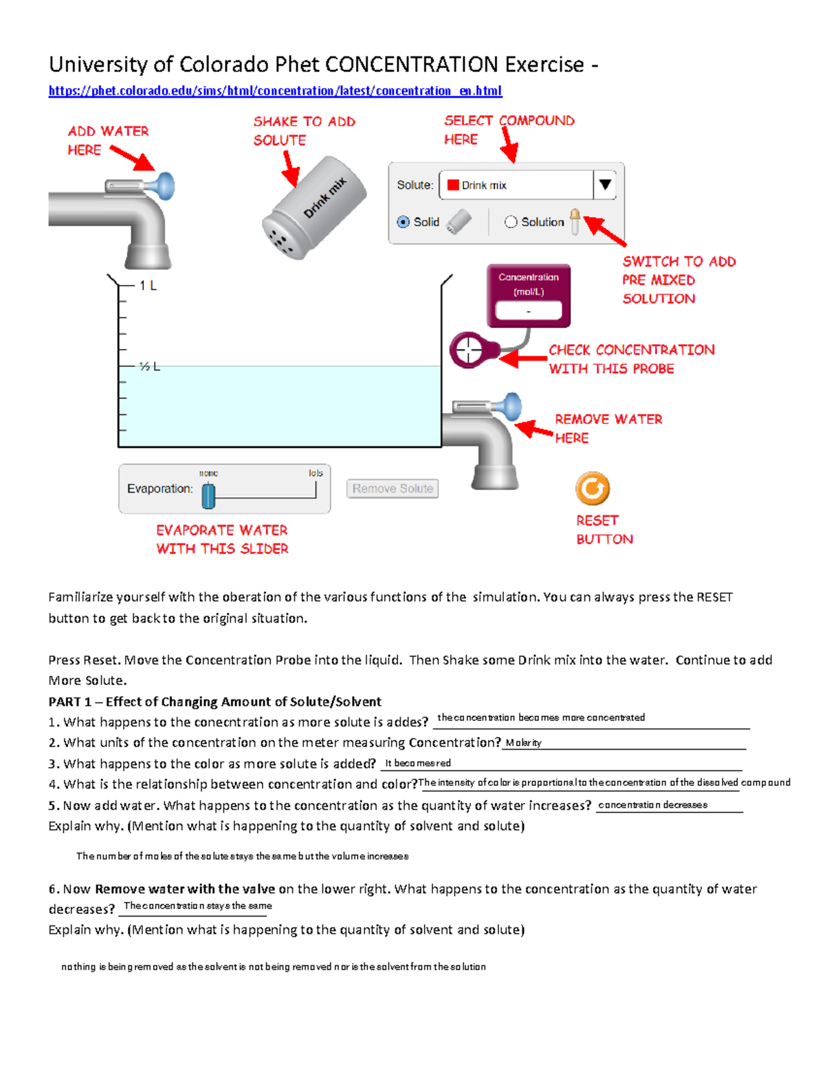 Kami Export Student Exploration Sheet Phet Concentration University 