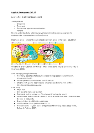 Atypical Development W5 - ADHD - Atypical Development - ADHD Attention ...