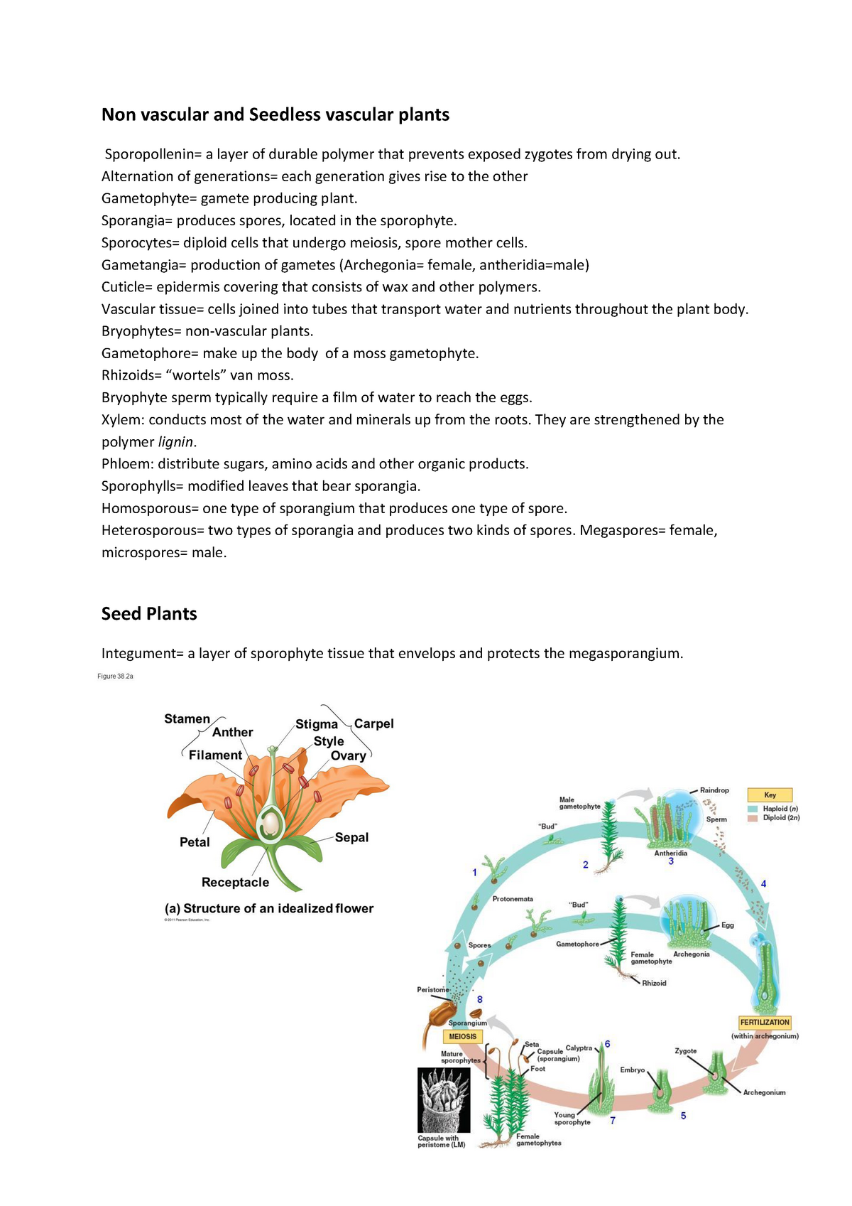 Moleculaire Biologie Samenvatting Alle Hoofdstukken - Non Vascular And ...