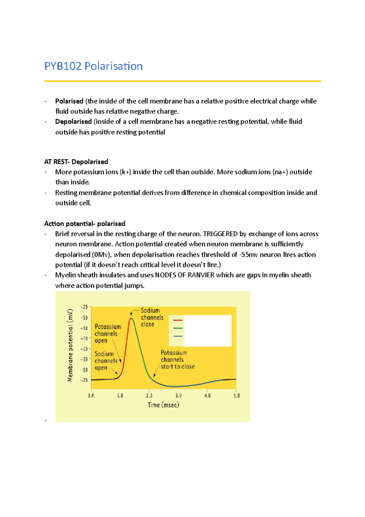 PYB102 Polarisation - Needed For Exam - PYB102 Polarisation Polarised ...