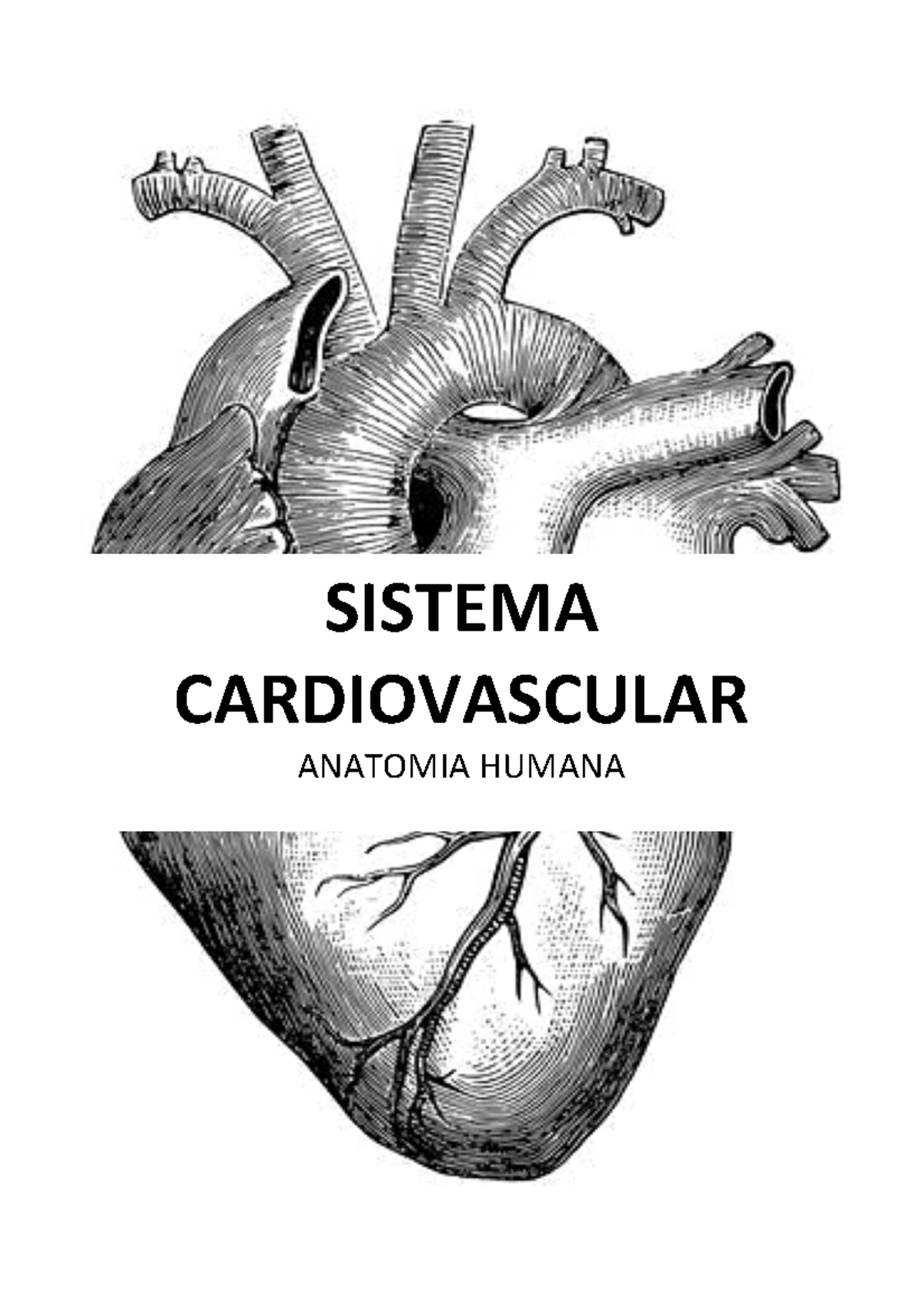 Tema Sistema Cardiovascular Studocu