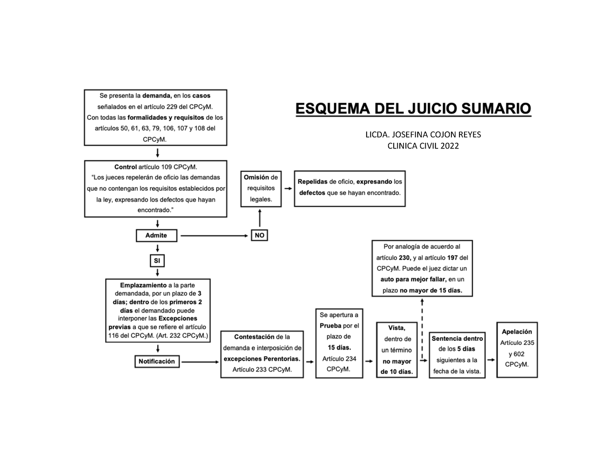 Esquema Juicio Sumario Guatemala Derecho Procesal Civil Licda