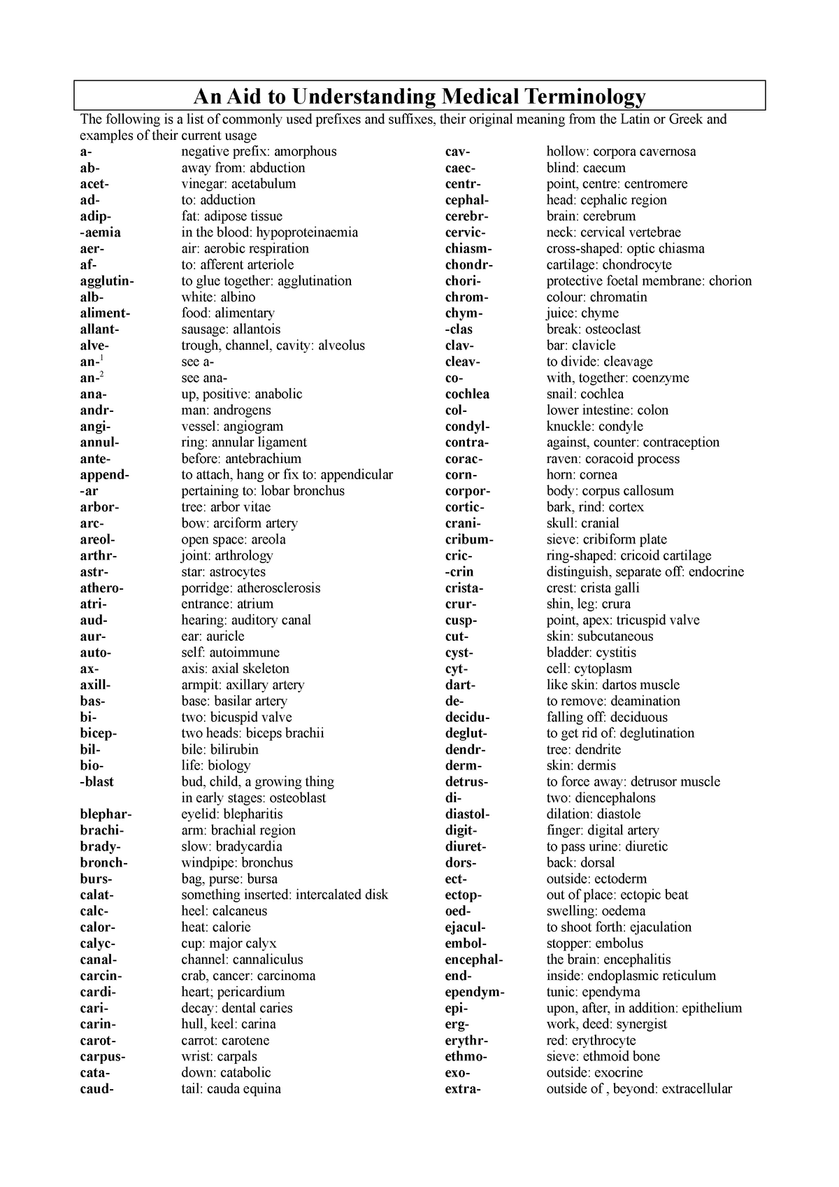 Medical Terminology Prefixes And Suffixes To Understand Anatomy An 