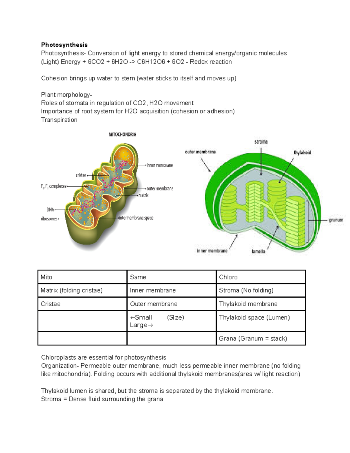 Bio 102 Review Exam 1 - Photosynthesis Photosynthesis- Conversion of ...