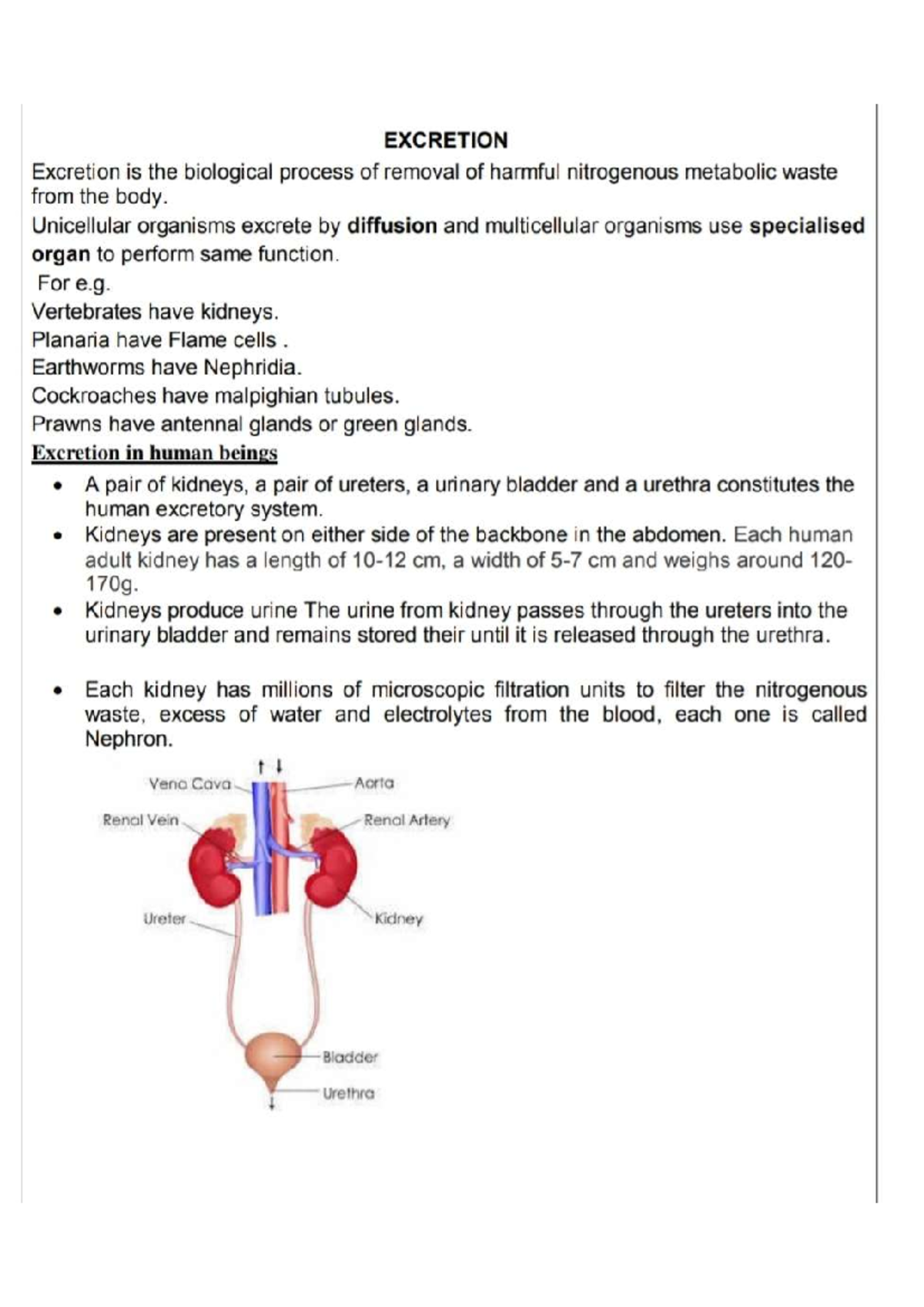 Structure & functions Biology Diagrams