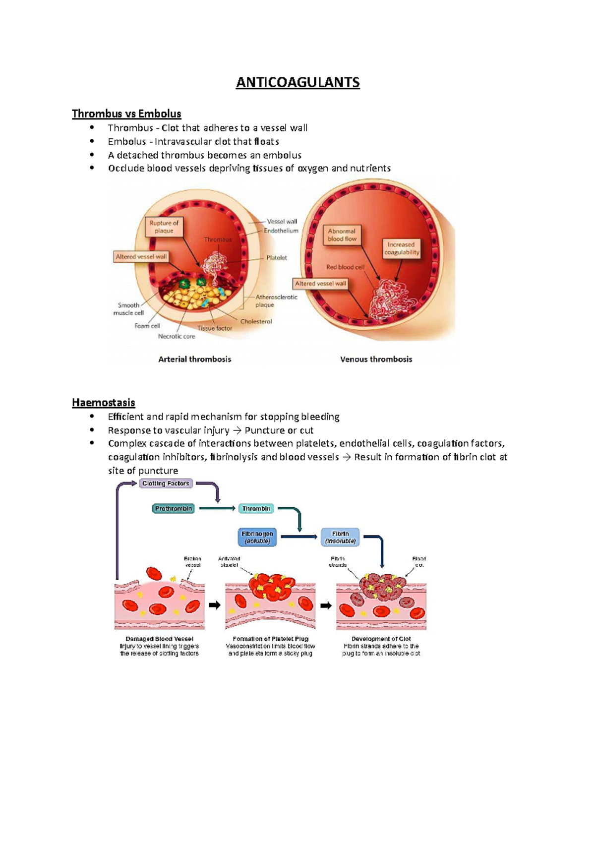 Anticoagulants The substances that contributes to the anticoagulant