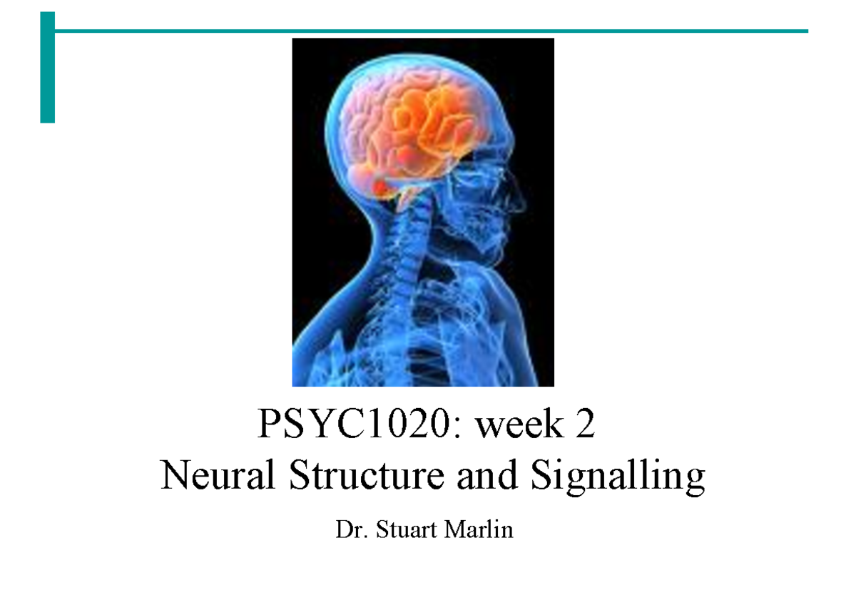 Psyc1020 Week 2 Notes-1 - Dr. Stuart Marlin PSYC1020: Week 2 Neural ...