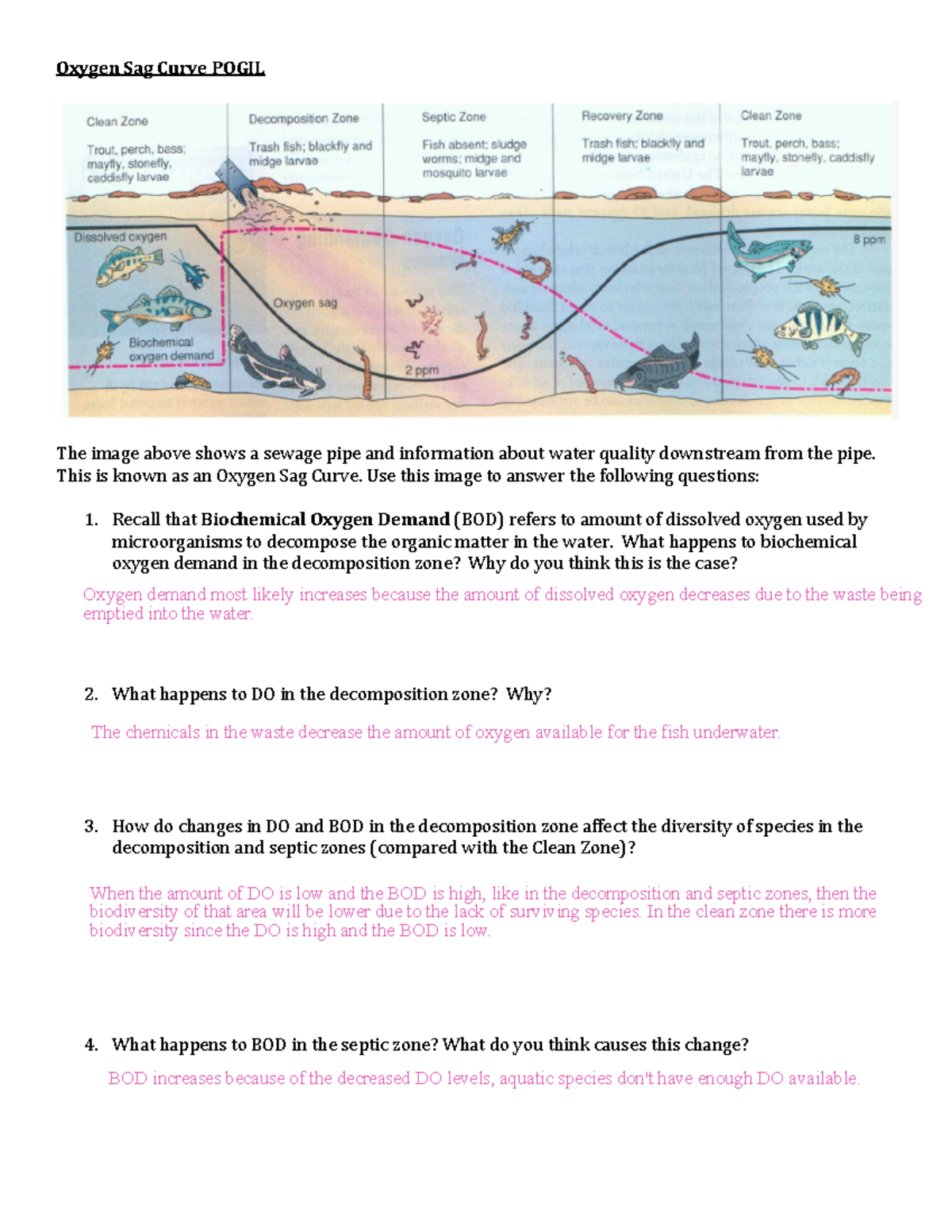 Kami Export - Emma Bezack - Oxygen sag curve Pogil v2 - Oxygen Sag ...