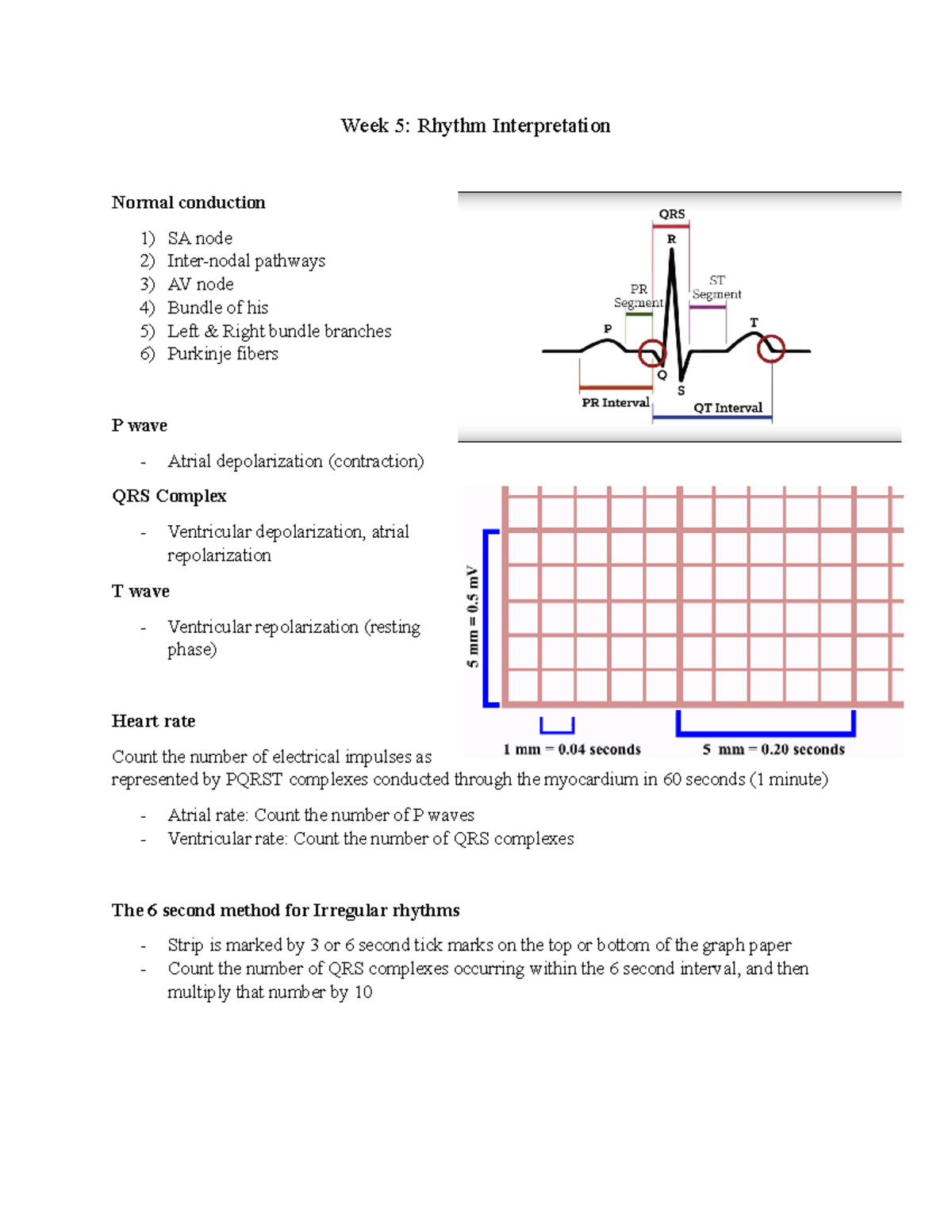 Week 5 Rhythm Interpretation - Week 5: Rhythm Interpretation Normal ...
