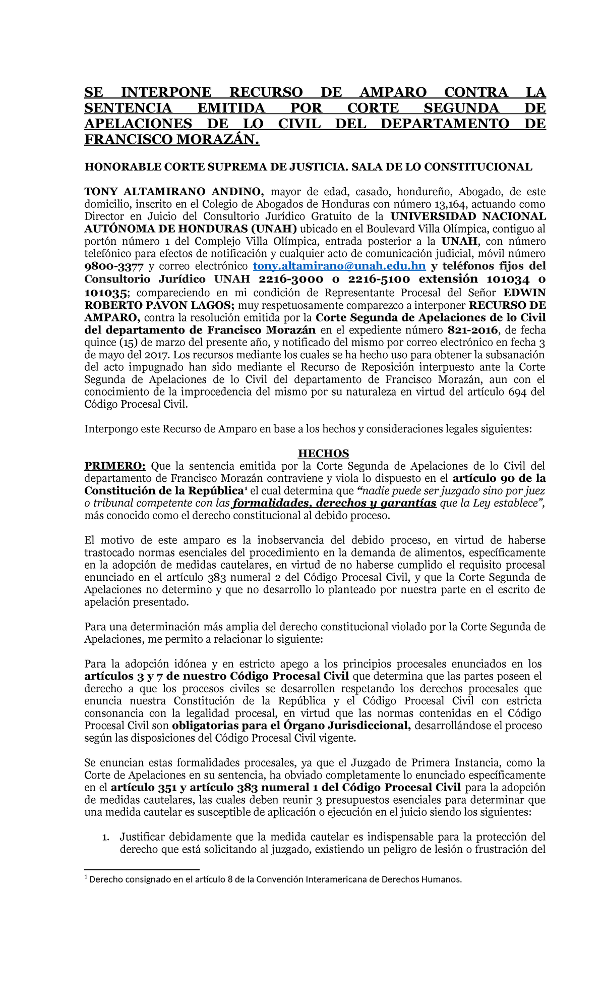Recurso de amparo - SE INTERPONE RECURSO DE AMPARO CONTRA LA SENTENCIA ...
