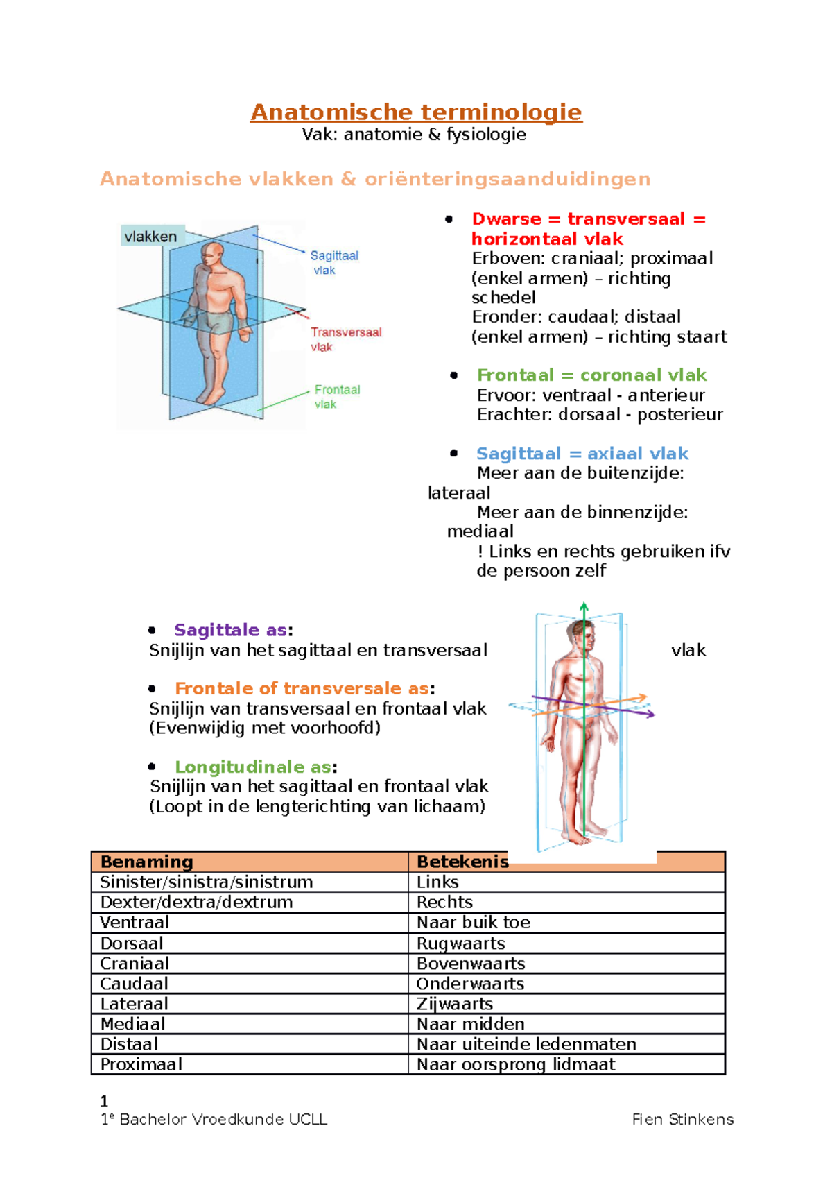 Termes D’Anatomie : Position anatomique : Comprendre la terminologie ...