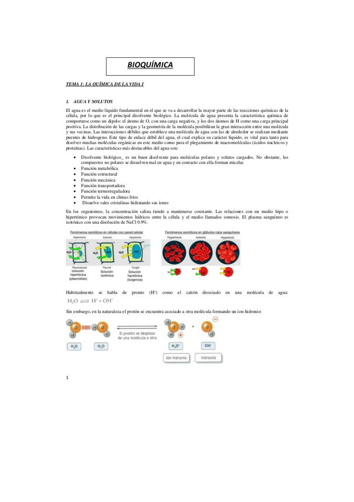 Bioquimica - Bioq 1/biologia - Bioquímica - Studocu