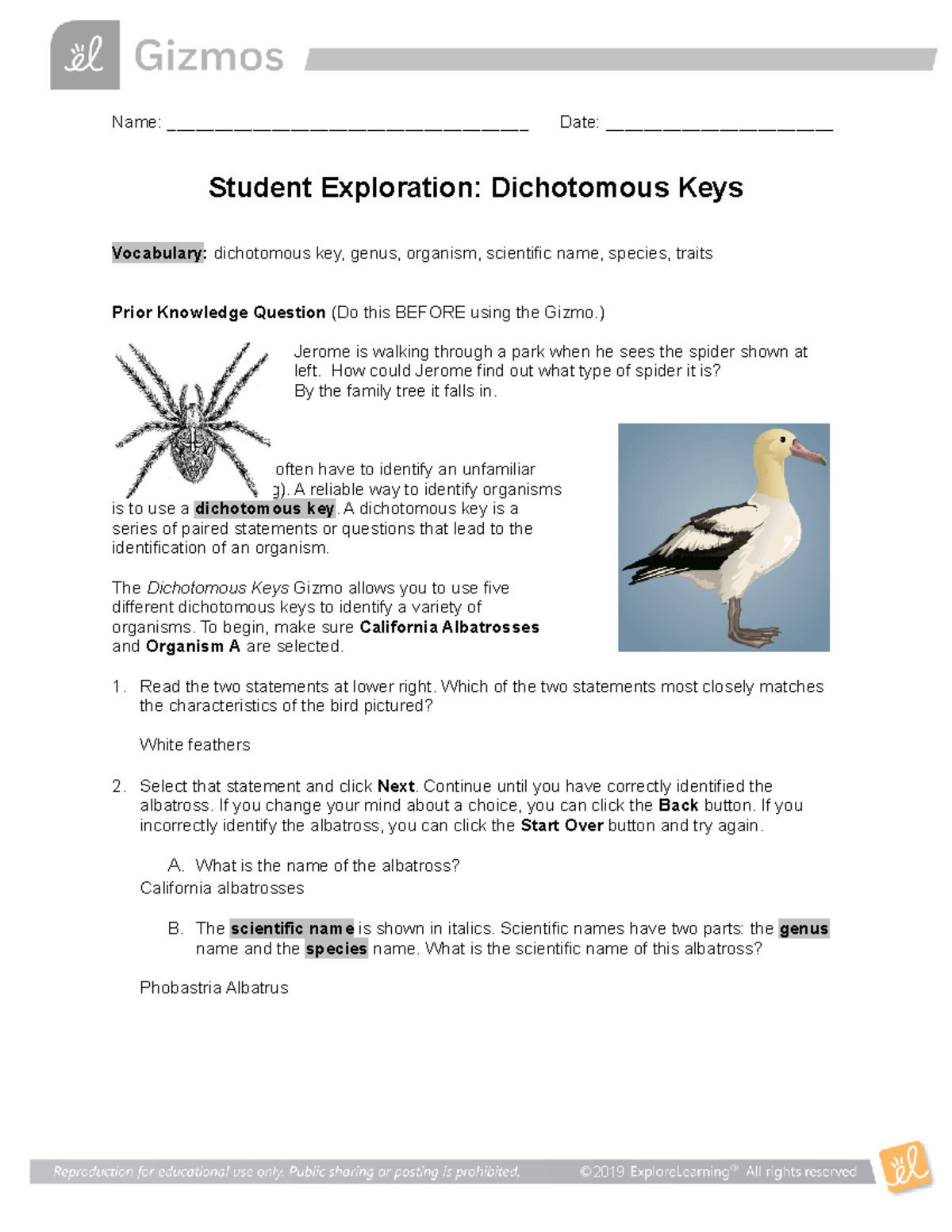 Dichotomous Keys SE - BEST BIO - Name ...