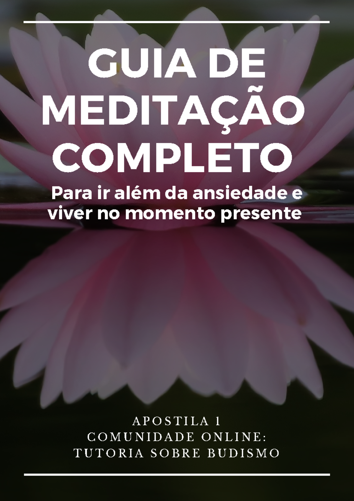 Apostila 1 Guia De Meditação Completo Guia De MeditaÇÃo Completo Para Ir Além Da Ansiedade E 9581