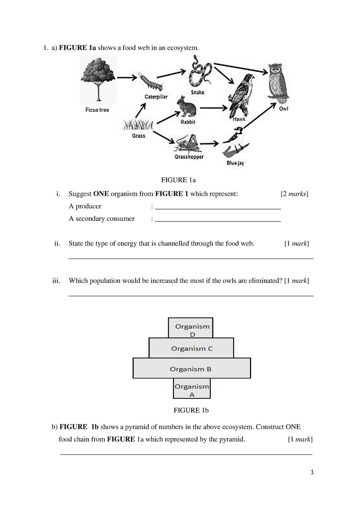 5-6327935588196418981-a-figure-1a-shows-a-food-web-in-an-ecosystem