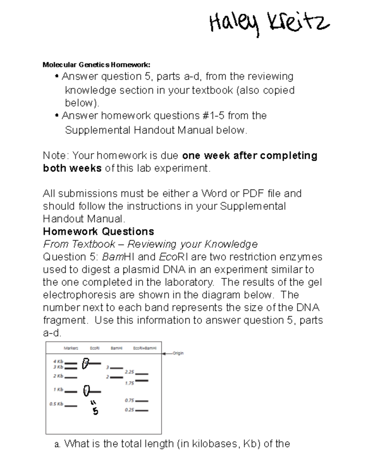 Molecular Genetics Homework - Answer homework questions #1-5 from the ...