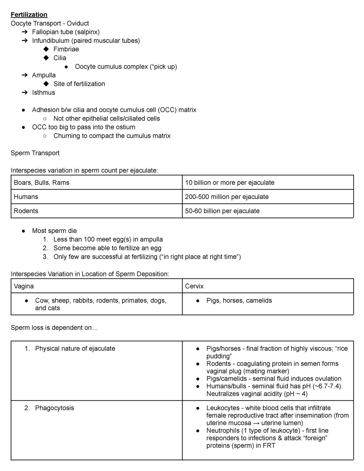 Animal Reproduction Exam 4 Notes - Fertilization Oocyte Transport ...