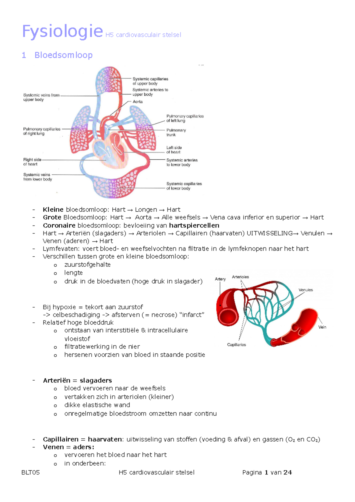 BLT05 H5 Cardiovasculair Stelsel - Fysiologie H5 Cardiovasculair ...