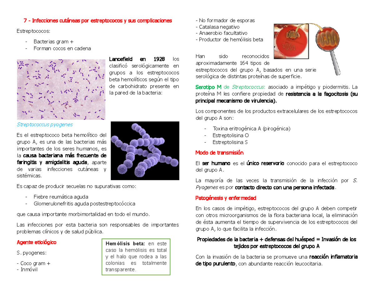 Capítulo 7 infecciones en la prac. med - 7 - Infecciones cutáneas por