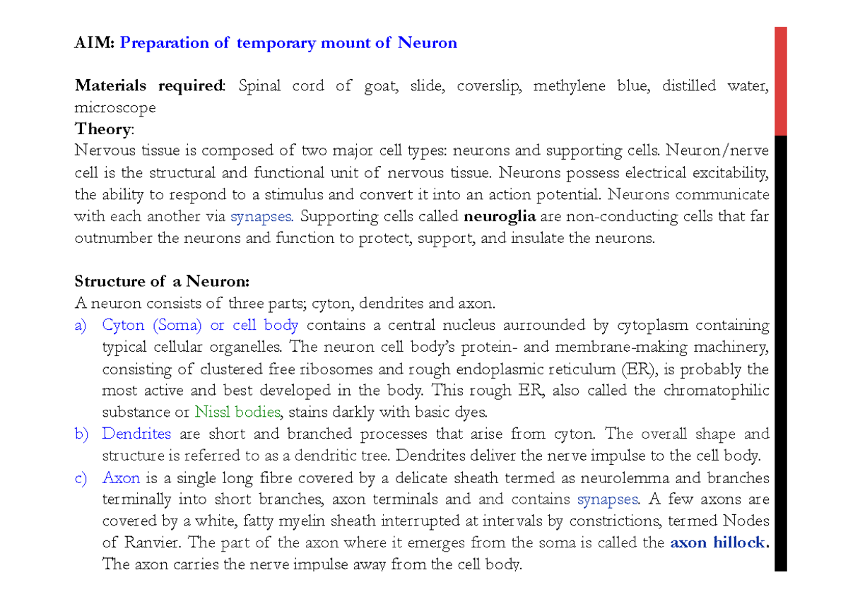 nerve-cell-mounting-practical