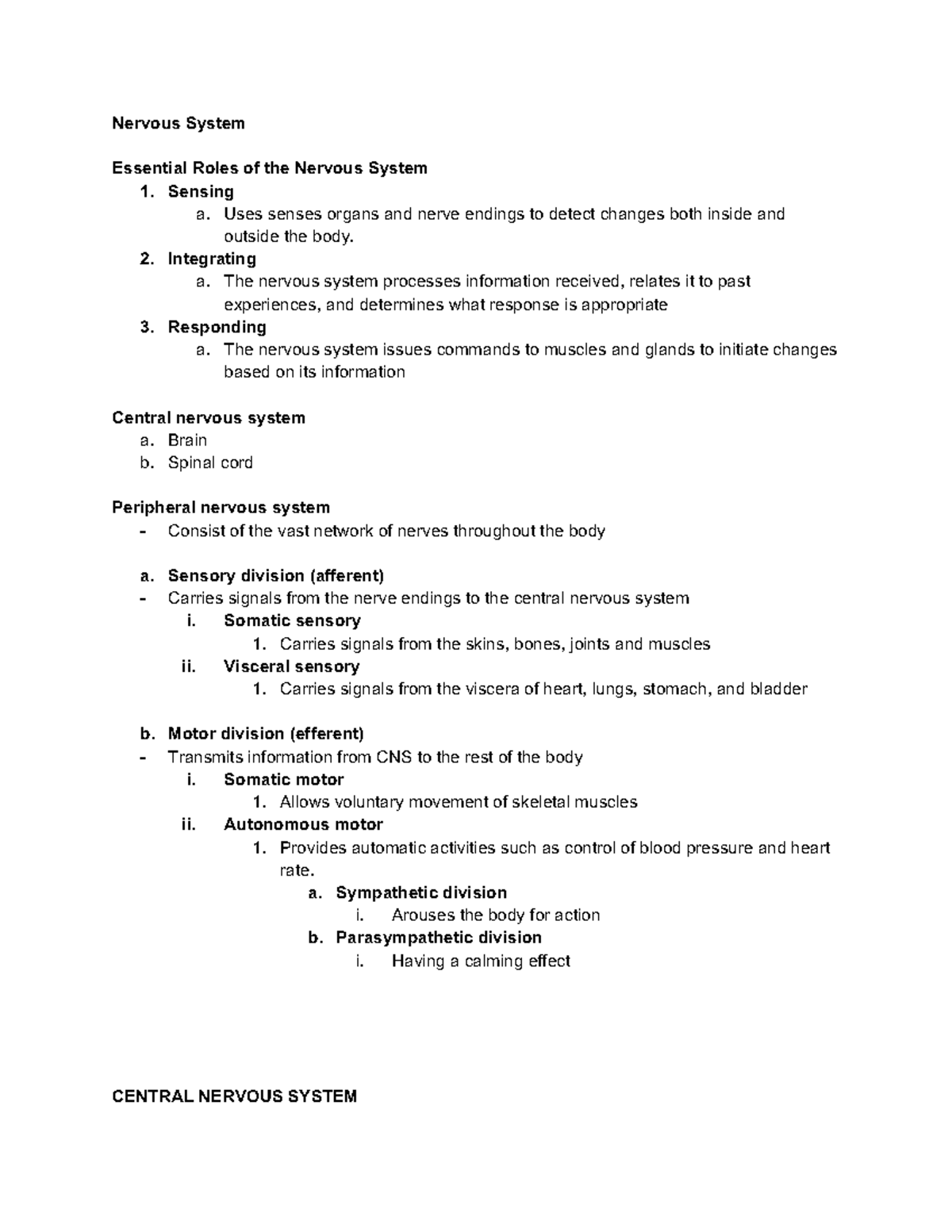 Anaphy Nervous System - Nervous System Essential Roles of the Nervous ...