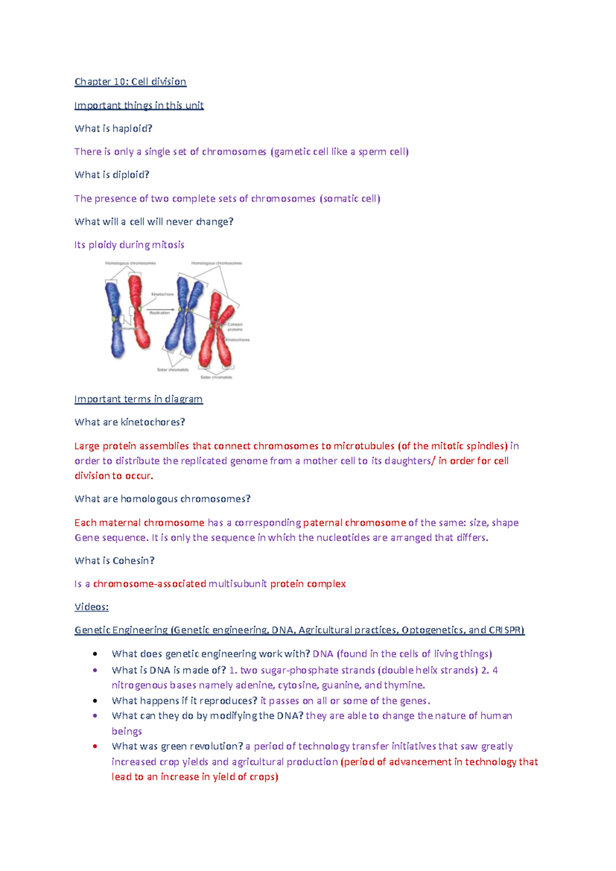Chapter 10 - Chapter 10: Cell division Important things in this unit ...