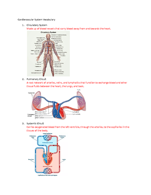 EMR Ch3 Worksheet - CHAPTER Lifting and Moving 3 Patients General ...