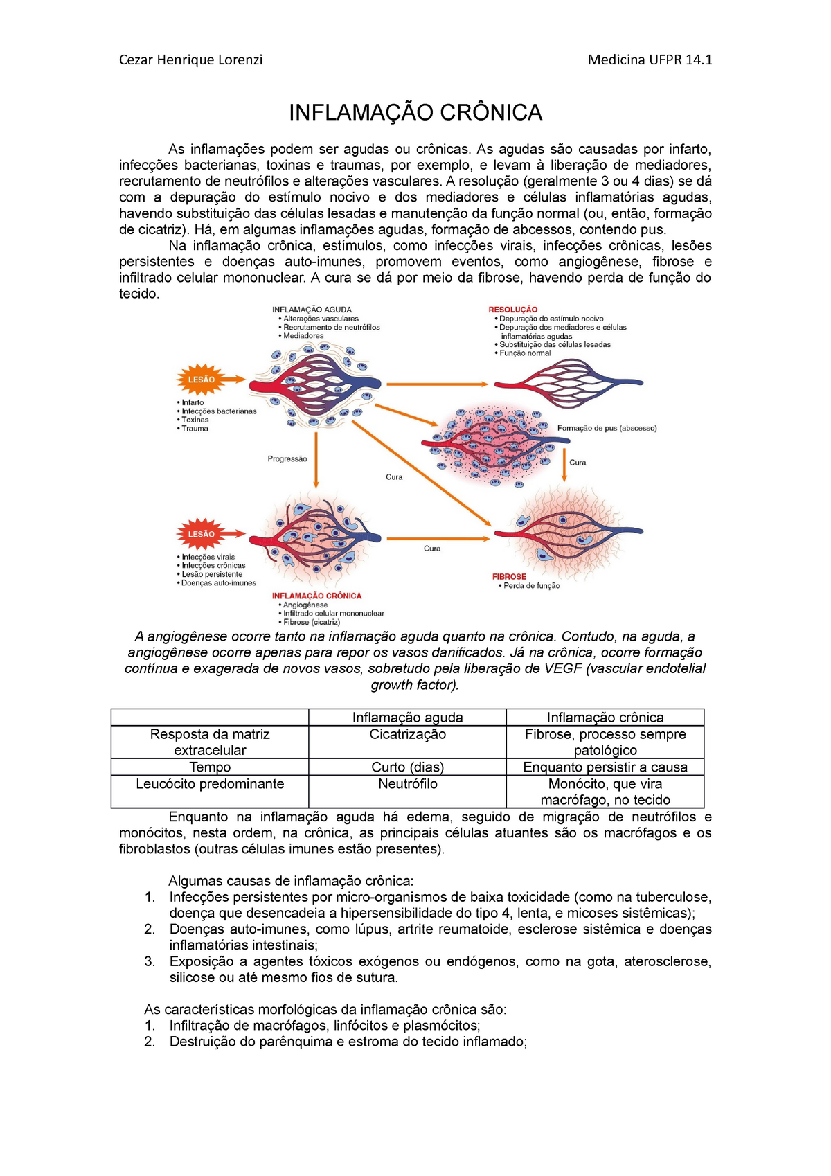 As Inflamações Aguda E Crônica Podem Ser Resolvidas Por Regeneração