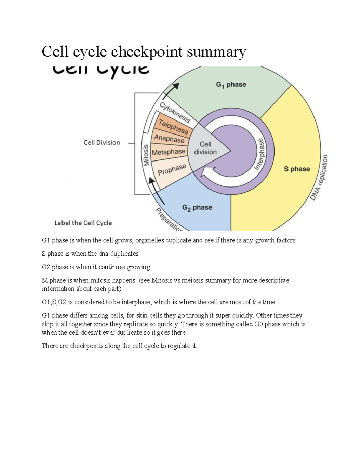 Cell Cycle And Cancer Summary - Cell Cycle Checkpoint Summary G1 Phase ...