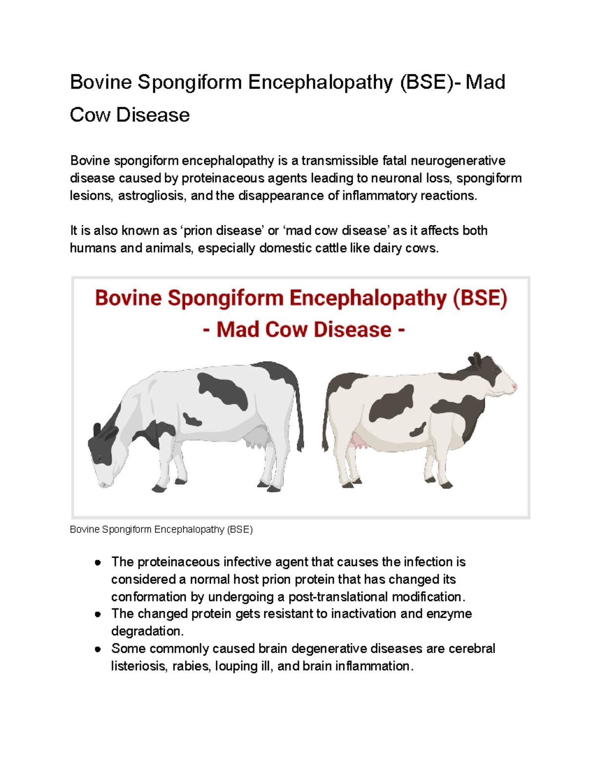 Bovine Spongiform Encephalopathy BSE Mad Cow Disease Bovine 