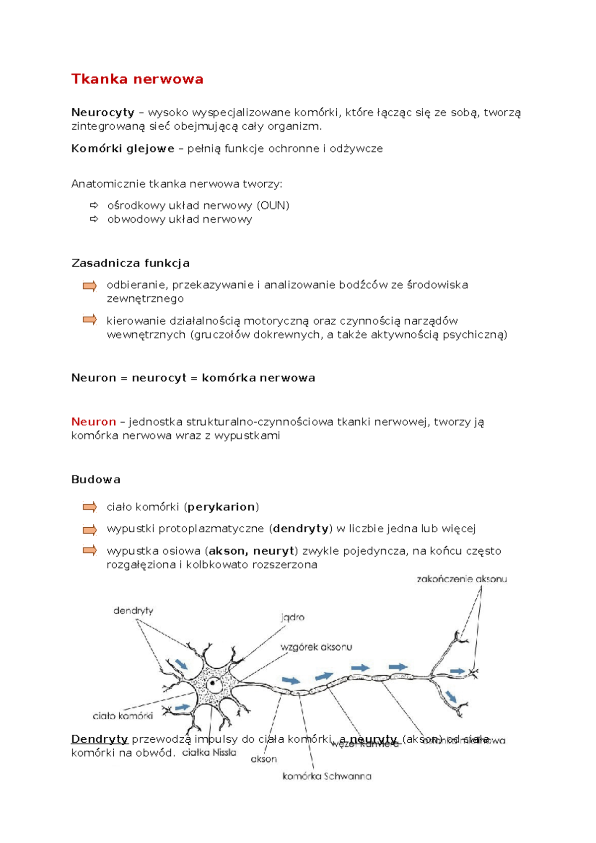 Histologia Komórki Wykład 5 - Tkanka Nerwowa Neurocyty – Wysoko ...