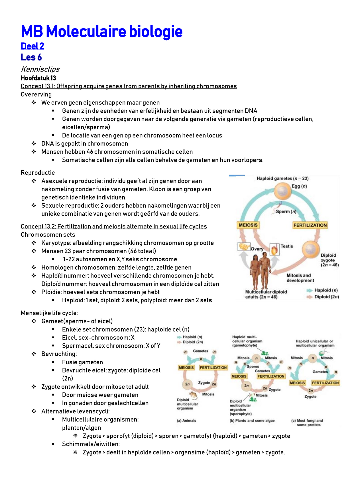 Moleculaire Biologie - Deel 2 - MB Moleculaire Biologie Deel 2 Les 6 ...