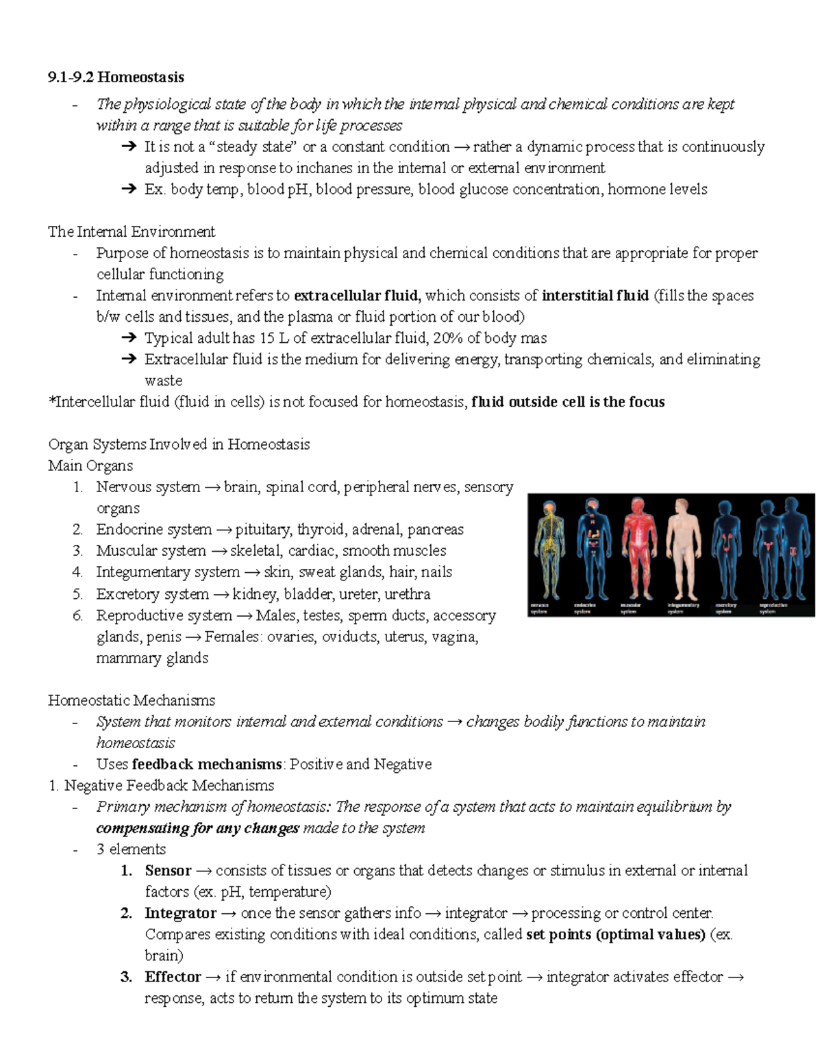 Homeostasis Notes - 9.1-9 Homeostasis - The Physiological State Of The ...