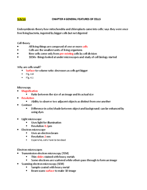 Chapter 4 Protein Structure and Function - Chapter 4 Protein Structure ...