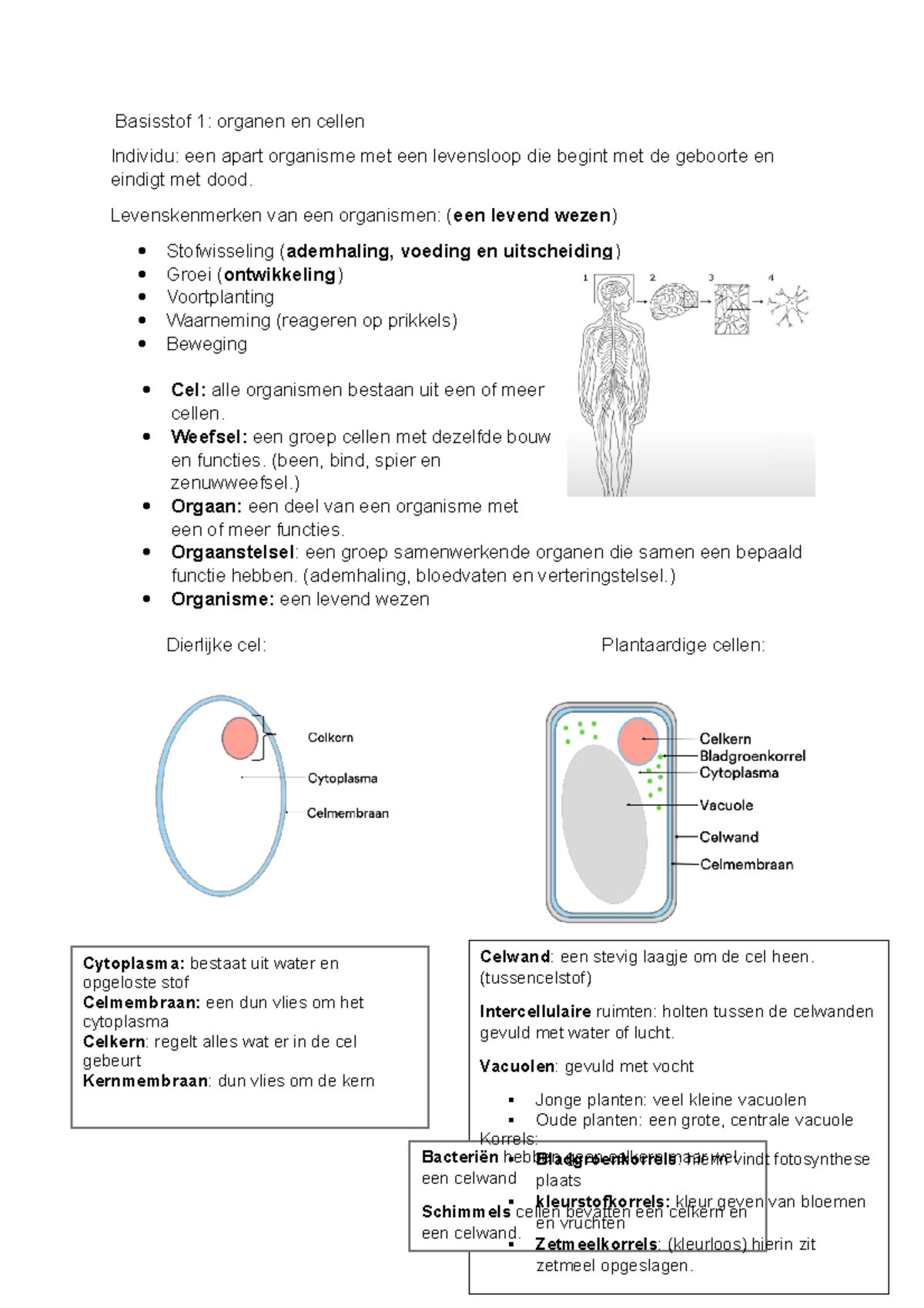 Biologie BOEK 3A - Samenvatting Van Boek 3a - Basisstof 1: Organen En ...