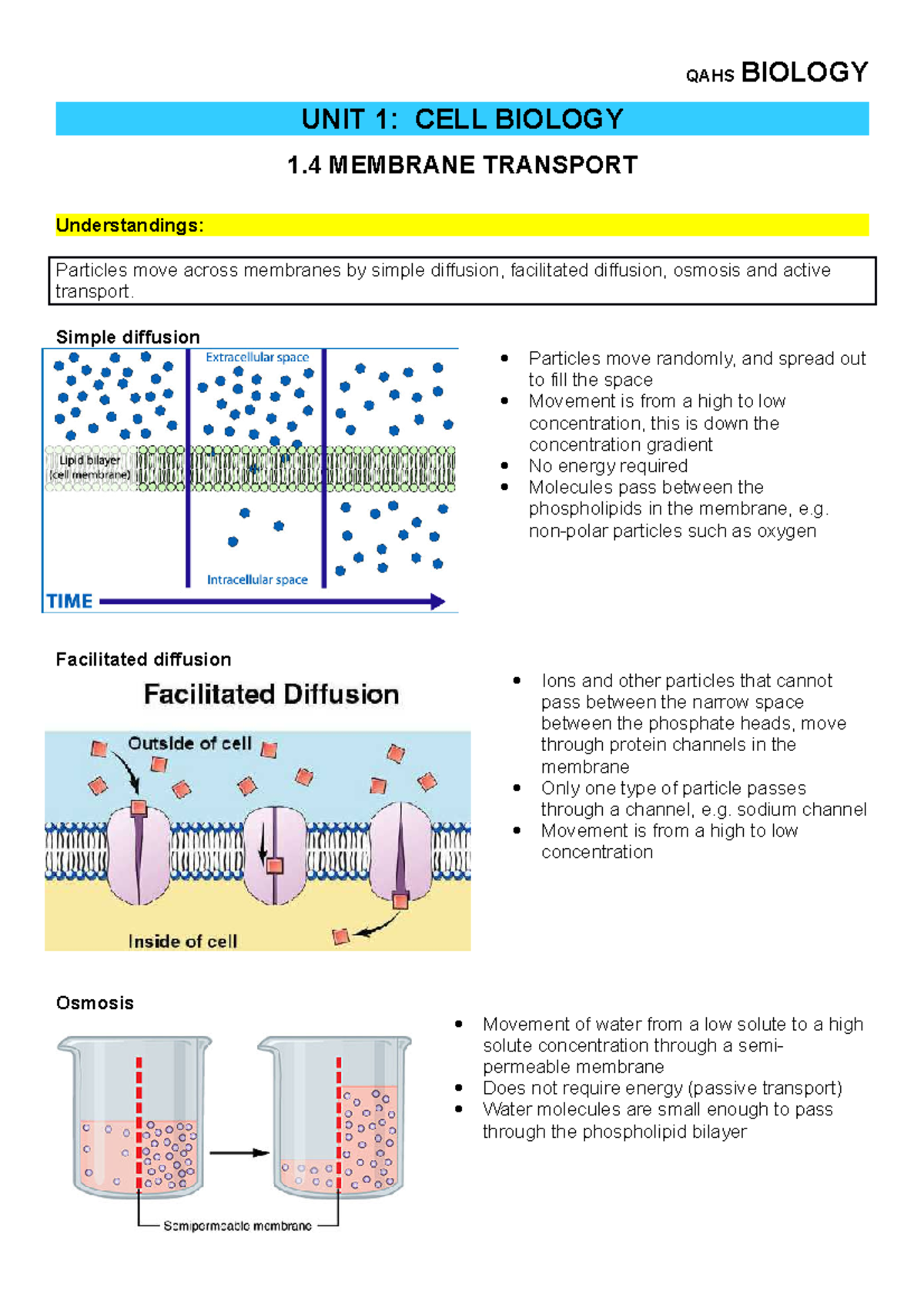 1.4 Membrane Transport - QAHS BIOLOGY UNIT 1: CELL BIOLOGY 1 MEMBRANE ...