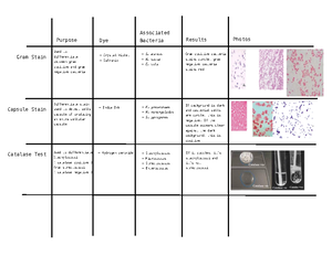 Micro Bio Lab Week 9 - Summary and Post Lab - Test Purpose Bacteria ...