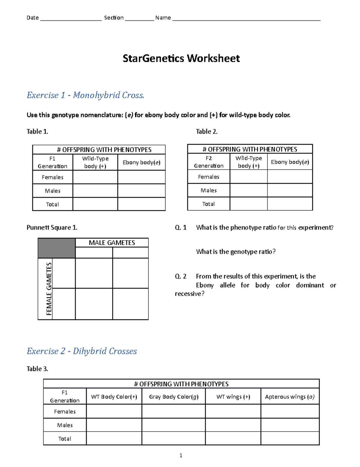 M10 Star Genetics Worksheet - BIOL 3041 - WUSTL - Studocu