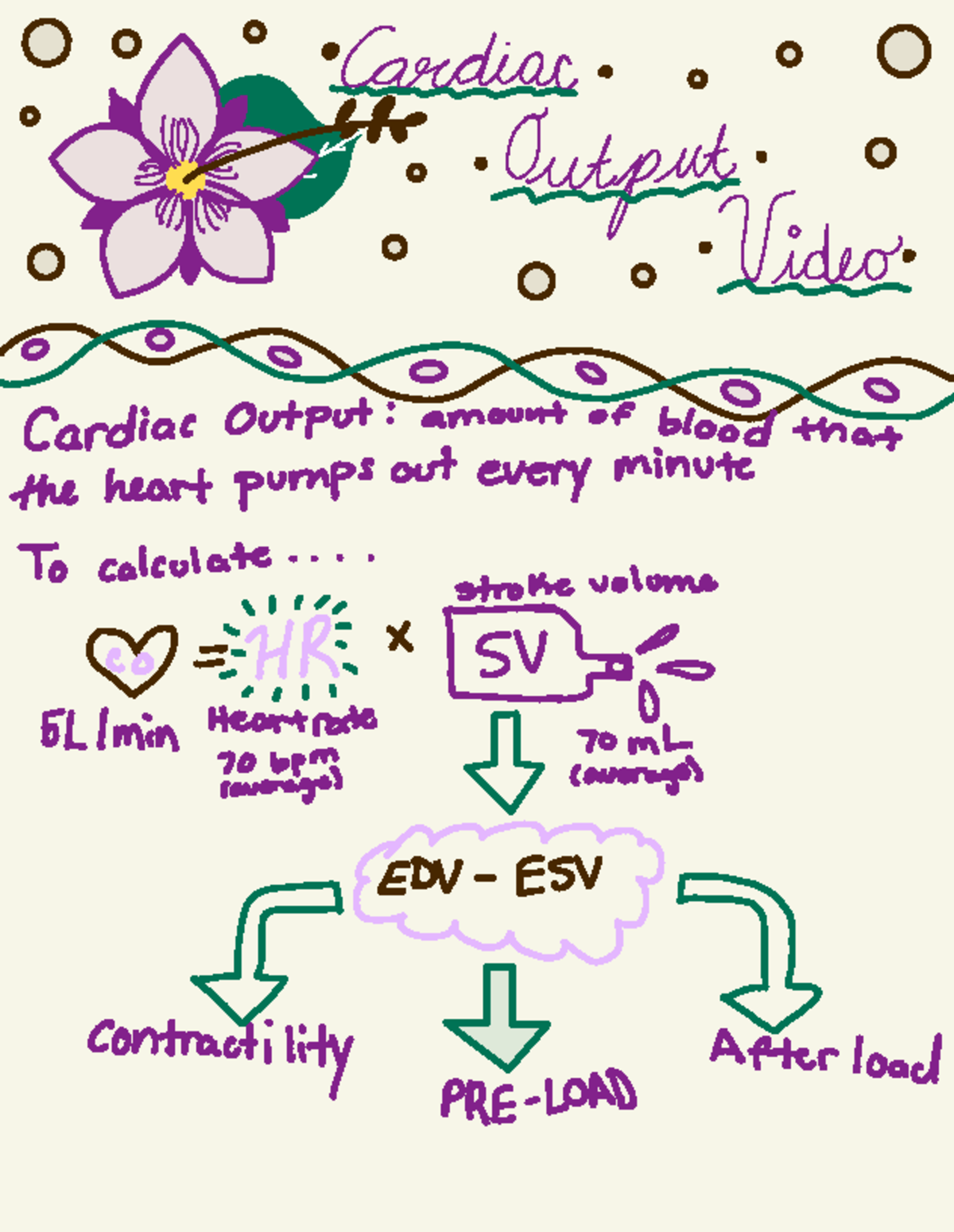 Cardiac output - . · re. neeoutput. z · o. Cardiac Output: amount of ...