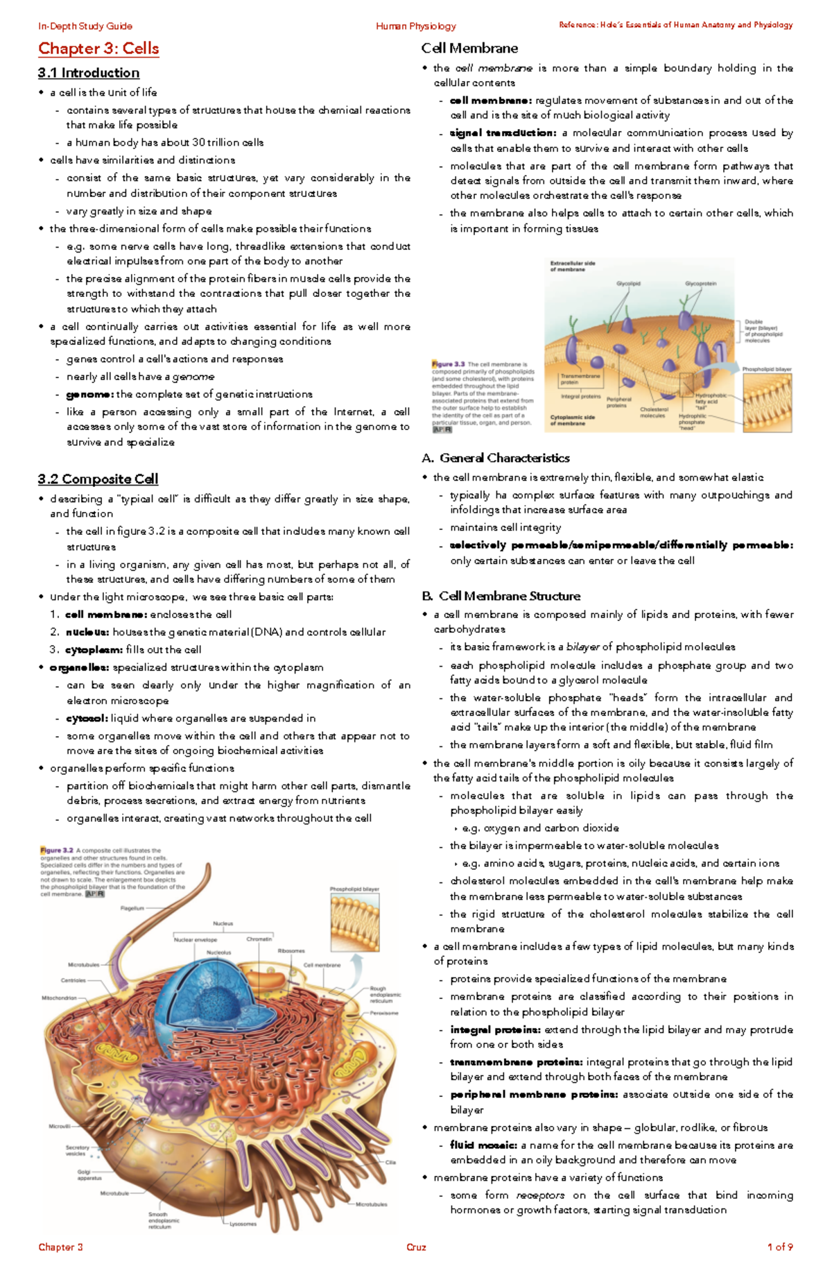 Human Physiology Chapter 3 Cells - Chapter 3: Cells 3 Introduction A ...