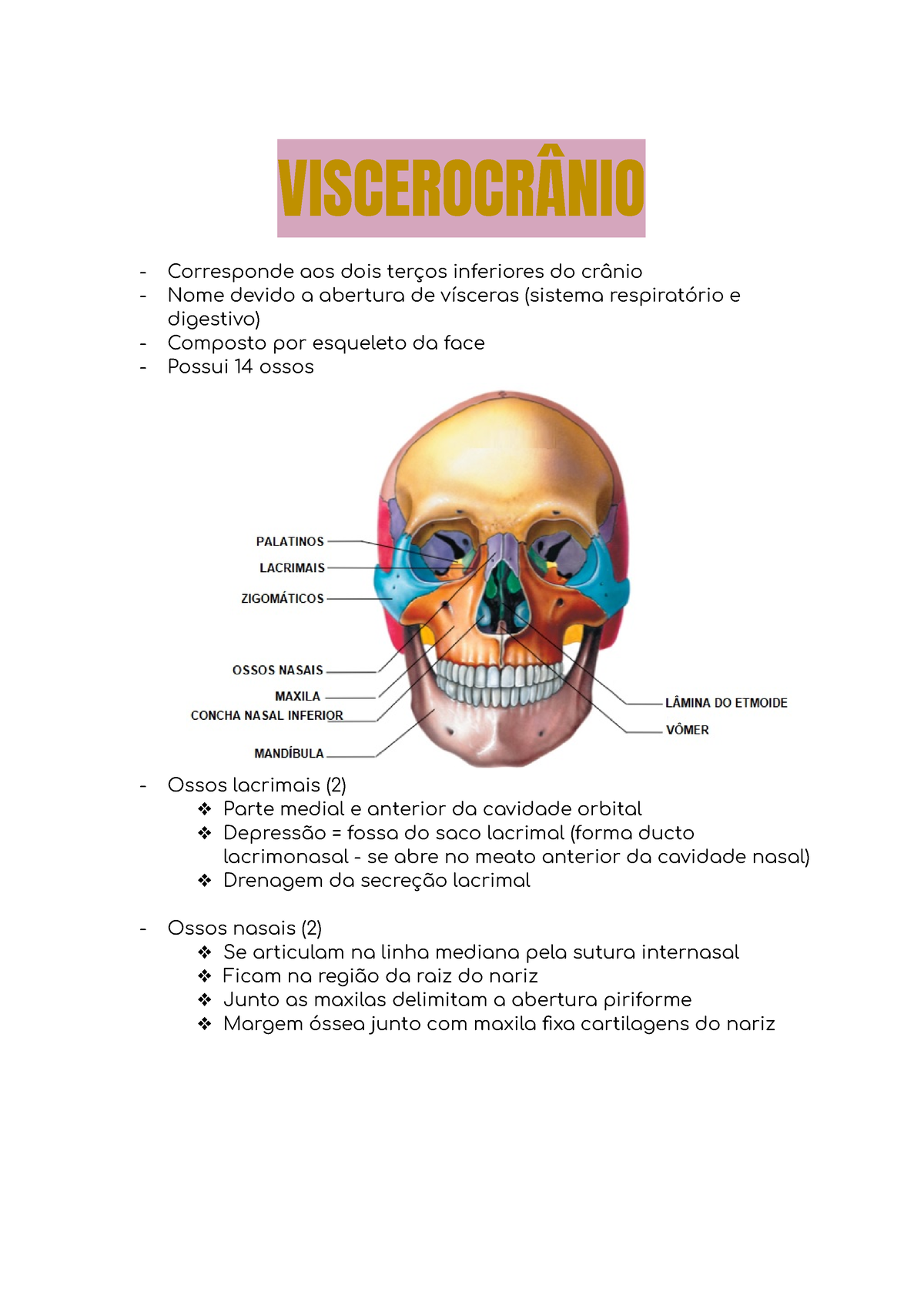 viscerocranio-zigomatico-maxila-mandibula-palatino-nasal-vômer