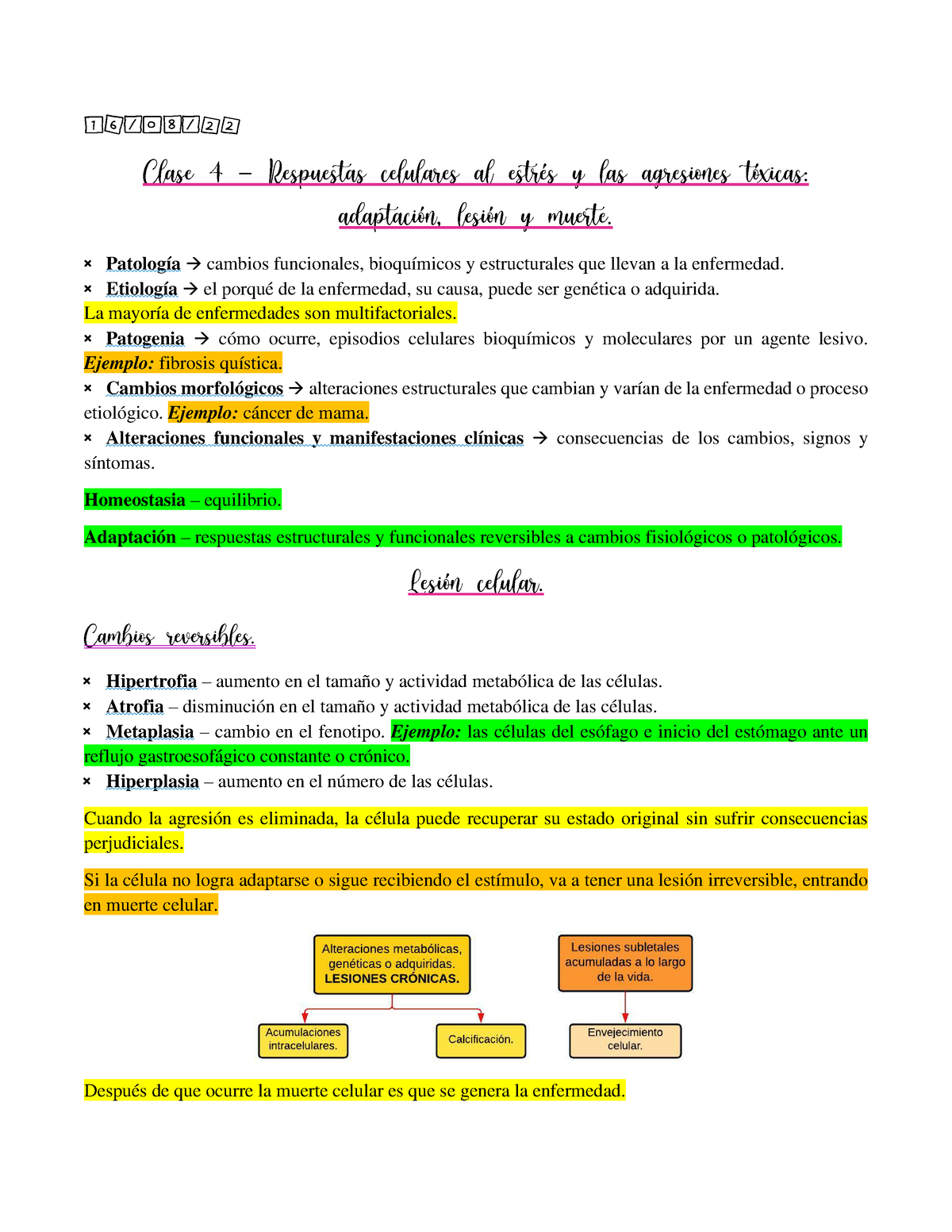 Clase 4 – Respuestas Celulares Al Estrés Y Las Agresiones Tóxicas ...