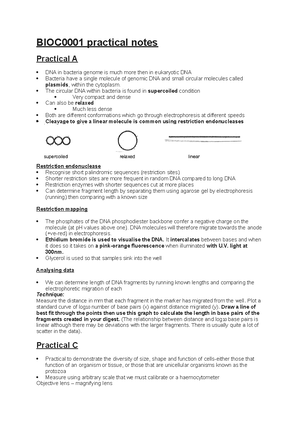 MB Practical Data analysis laminated for the experiment - 1 ...
