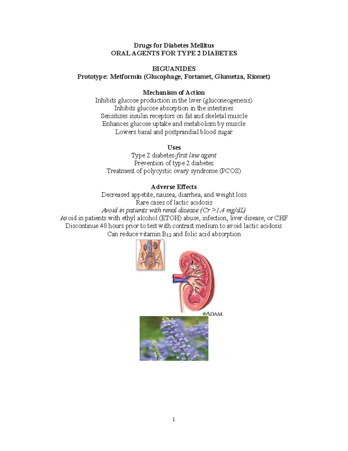Endocrine packet - Drugs for Diabetes Mellitus ORAL AGENTS FOR TYPE 2 ...