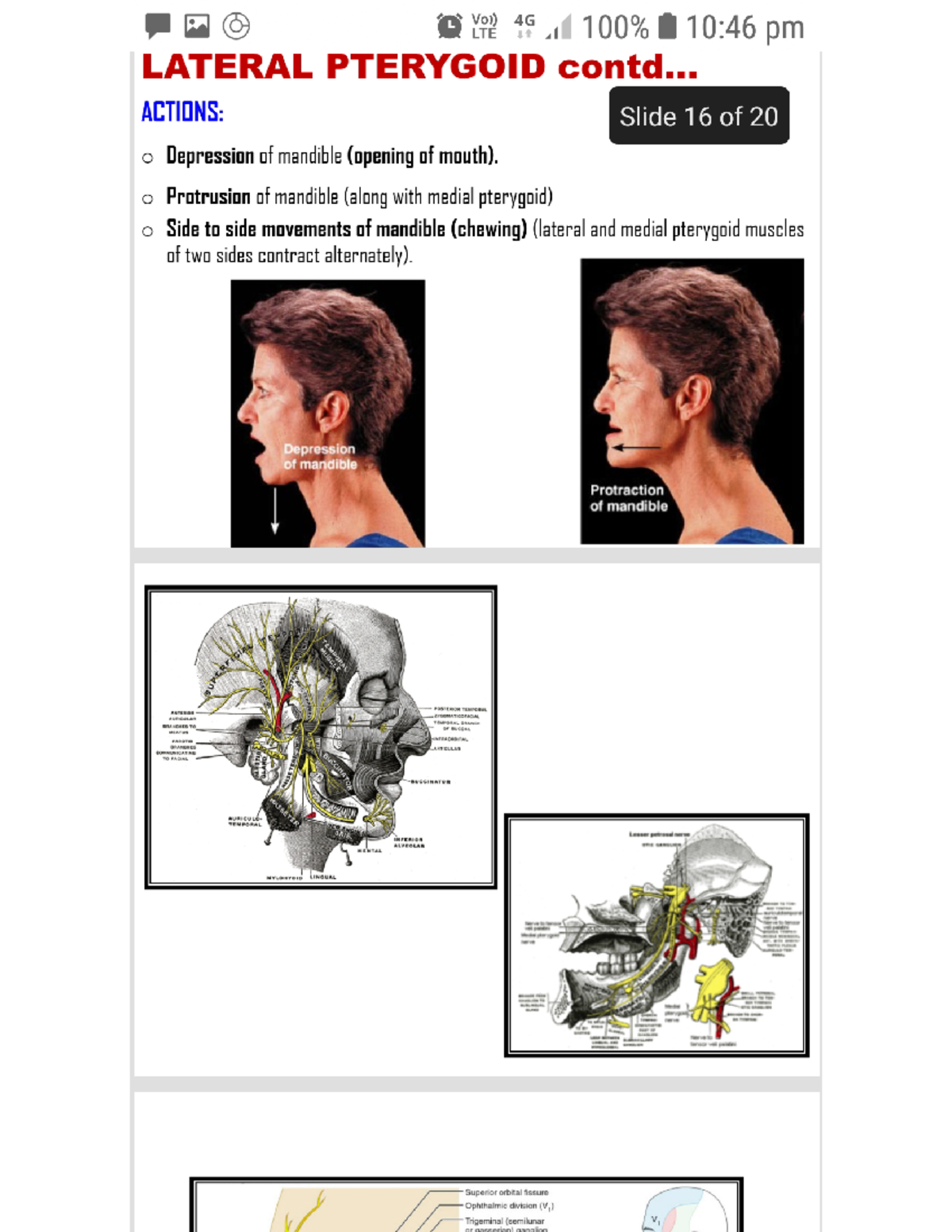 Muscles of mastication - bachelor in dental surgery - Studocu