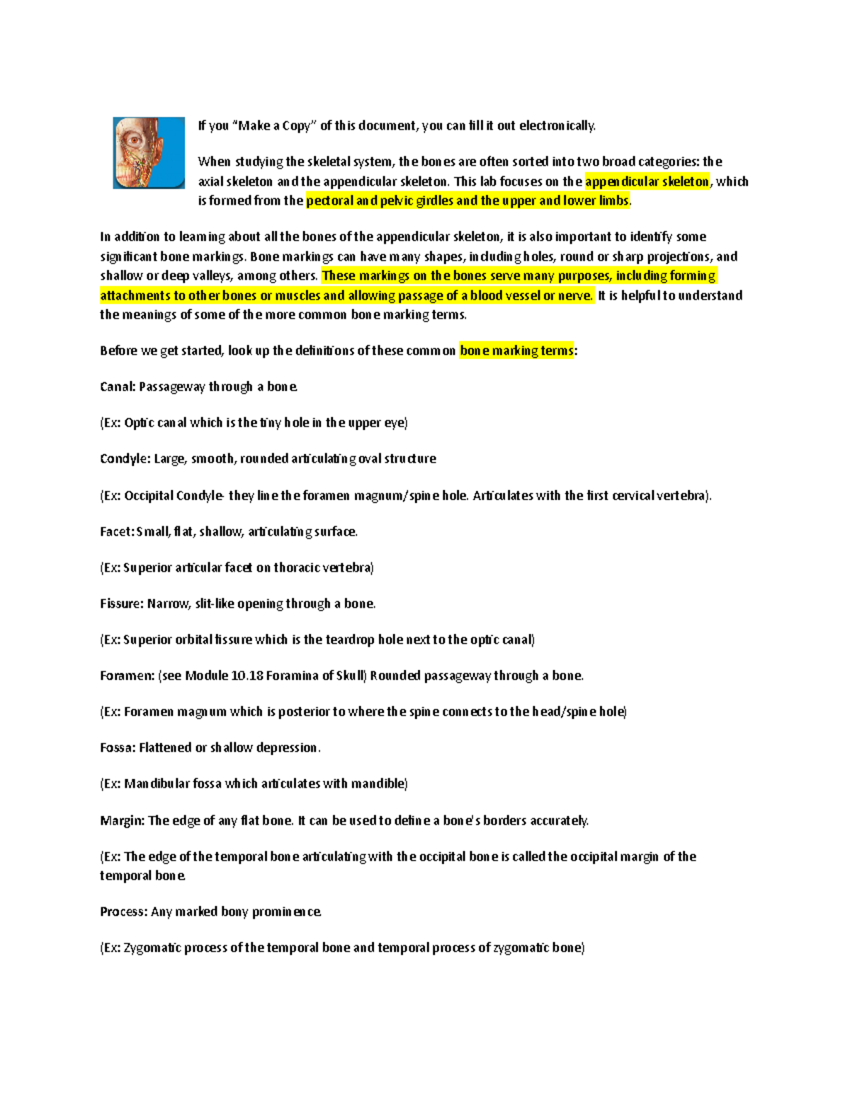 Appendicular Skeleton Lab - If you “Make a Copy” of this document, you ...
