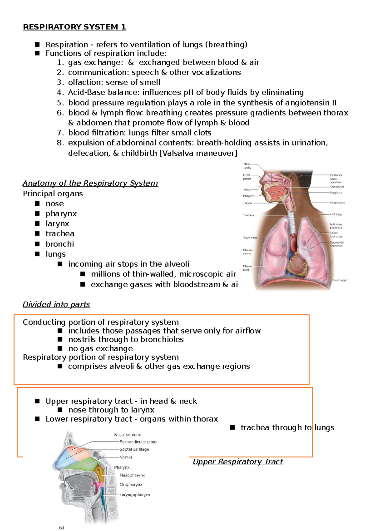 Respiratory System 1 - Rachel - RESPIRATORY SYSTEM 1 ¡ Respiration ...