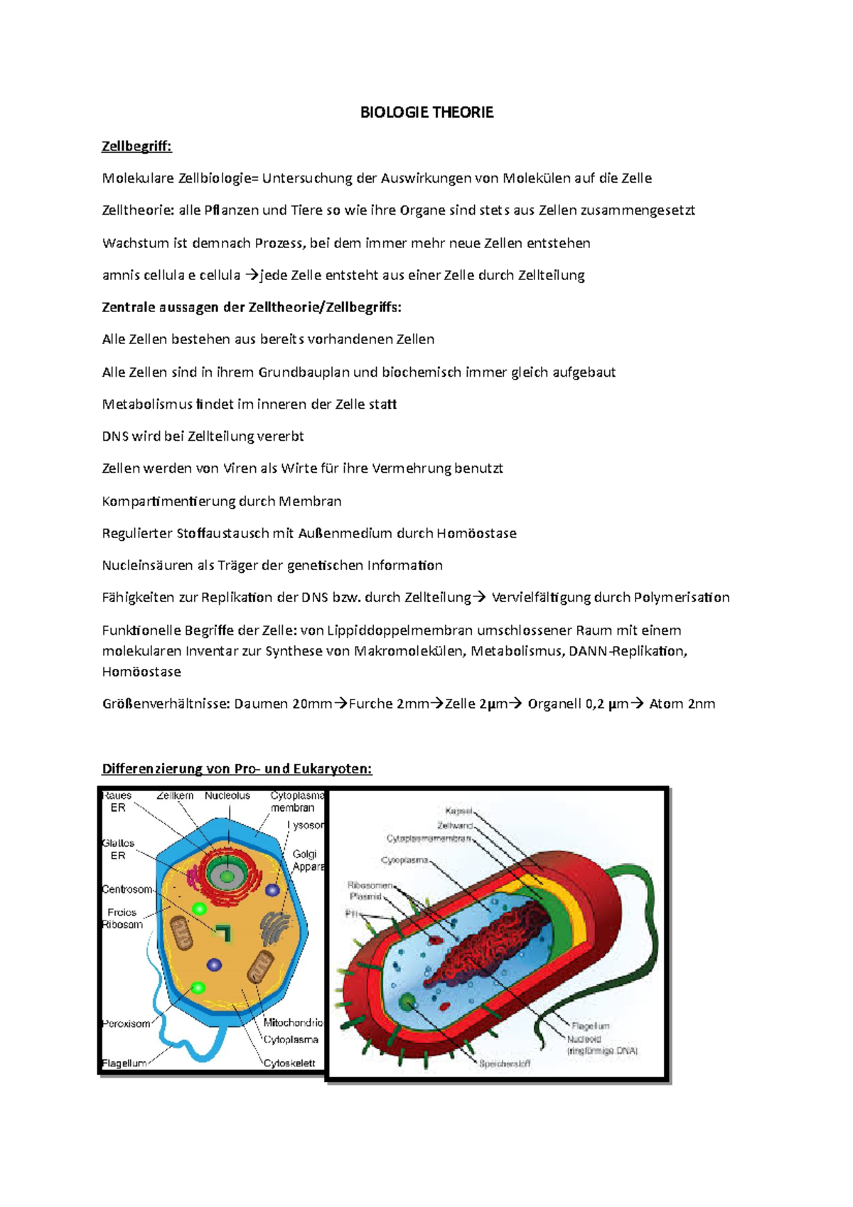 Zellbiologie Theorie Zusammenfassung - BIOLOGIE THEORIE Zellbegriff ...