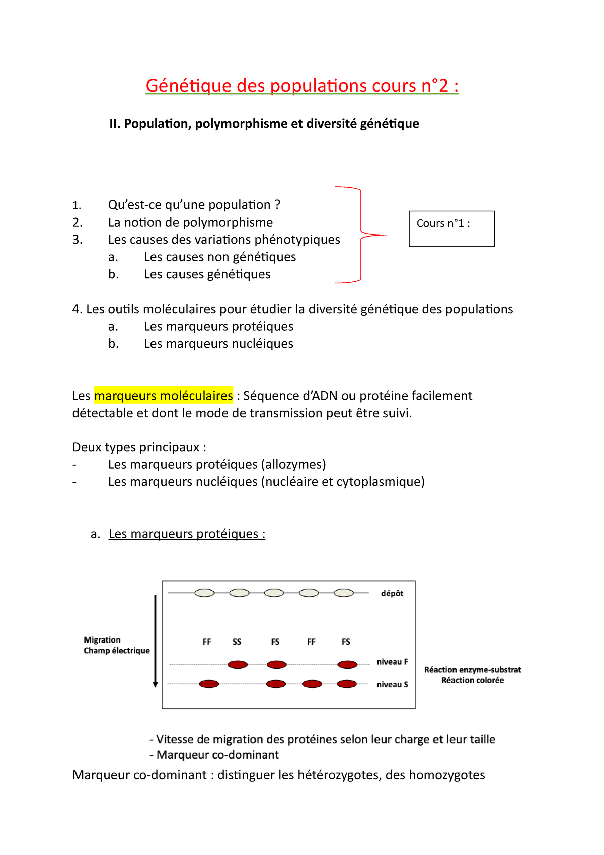 Génétique Des Populations Cours N°2 - Génétique Des Populations Cours N ...